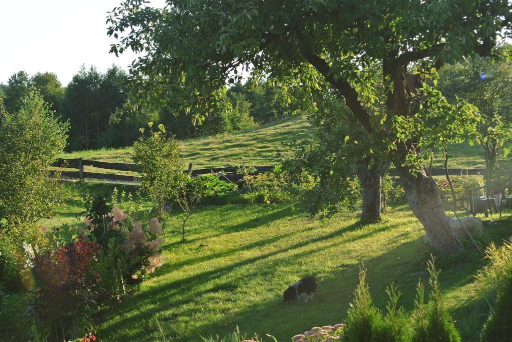Maison d'hôtes Jora Siedlisko à Jora Wielka Extérieur photo